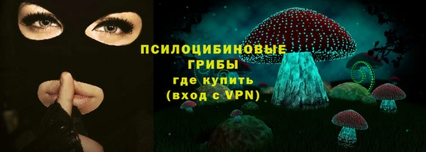 эйфоретик Каменка