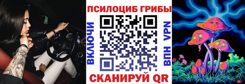 Галлюциногенные грибы Psilocybe  площадка какой сайт  Ак-Довурак 