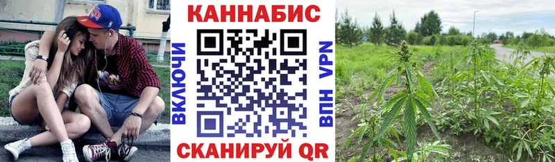 Шишки марихуана VHQ  блэк спрут вход  Ак-Довурак 